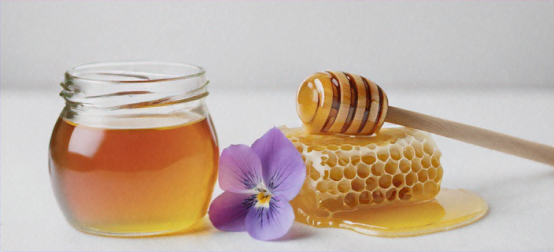 State Spring Honey Show